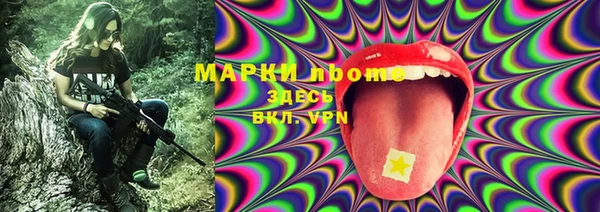 соль ск Пестово