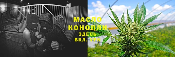 прущий лед Пересвет