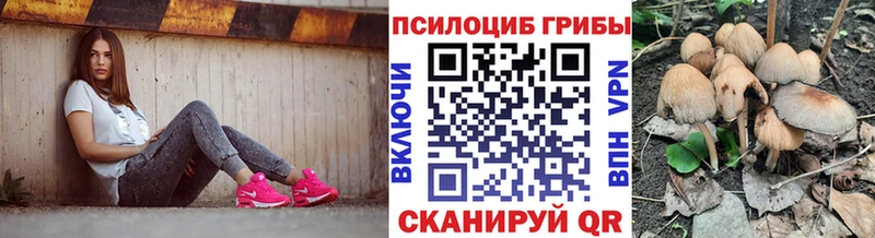 Галлюциногенные грибы Psilocybe  Мосальск 
