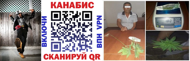 Бошки Шишки планчик Мосальск